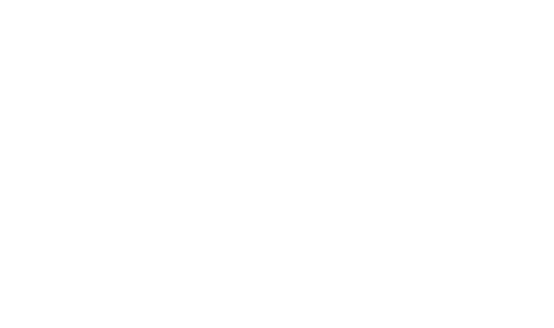Expertos businesspro